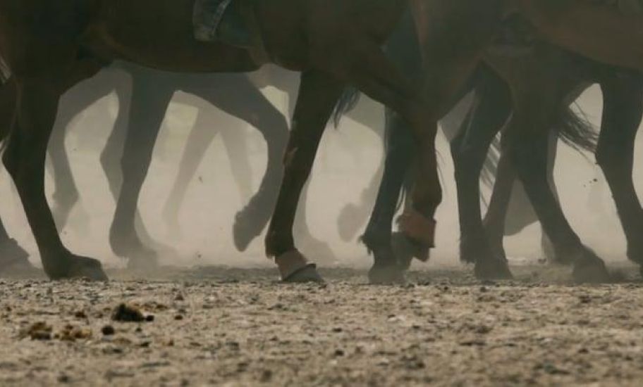 Buzkashi