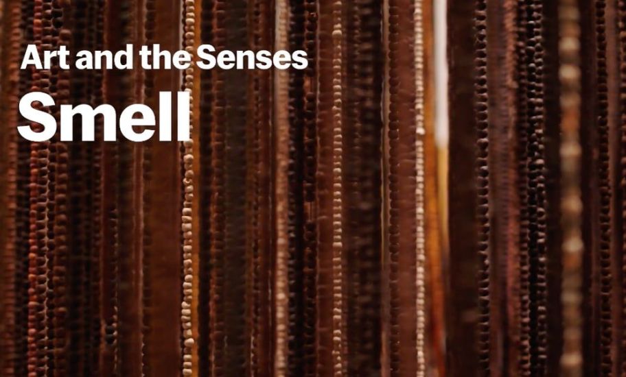 Art and the Senses